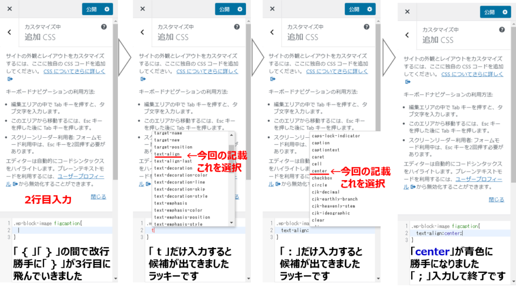 追加CSSへの入力　2行目